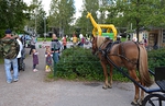 Pomppulinna ja hevosajelu kersivt pienempien vierailijoiden suurimman huomion. 