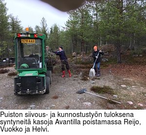 Puiston siivous- ja kunnostustyn tuloksena syntyneit kasoja Avantilla poistamassa Reijo, Vuokko ja Helvi.