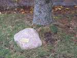 Aistipihalla on klubin perintprojekti kivi