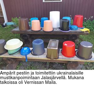 mprit pestiin ja toimitettiin ukrainalaisille mustikanpoimintaan Jalasjrvell. Mukana talkoissa oli Vernissan Maila.
