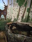 Metslhteen solinassa saattoi ihailla taidokkaasti maalattua seinustaa ja luonnollista koko olevaa peuraa