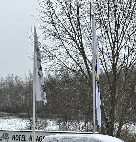 Lions-lippu oli esill hotelli Haaga Central parkin edess.